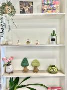 Central & Comfy 1B1B