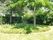 Top Börgerende-Rethwisch