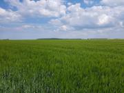 Top Börgerende-Rethwisch