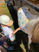 Ranch du Haut-Languedoc