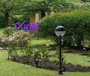 Curiel Curiel