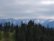 Top Rzepiska