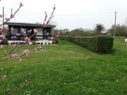 Top Plougastel-Daoulas