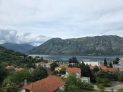 Top Kotor