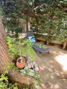 Top Amaliás Top Amaliás