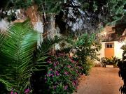 Casa Palermo Green space