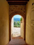 Top Collazzone Top Collazzone