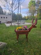 Top Szczecinek Top Szczecinek