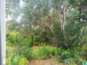 Top Moncarapacho Top Moncarapacho