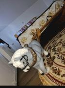 Top Vişeu de Mijloc