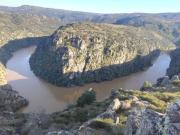 Top Bemposta Top Bemposta