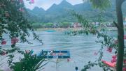 Top Phong Nha