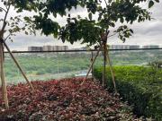 1BR with Queen Bed and Balcony, Walk to Okada