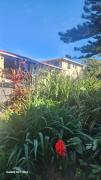 I B B Guesthouse
