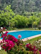 Top Cıralı Top Cıralı