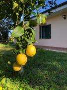 Top Nettuno