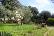 Top Nettuno