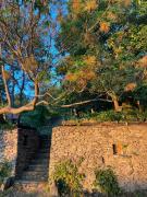 Top Raposka Top Raposka