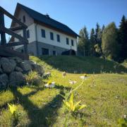 Apartmán pod Špičákem