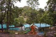 Top Chaubattia