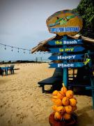 Tamasha Mango Home stay