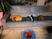 Top Wrocław Top Wrocław