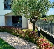 Il Giardino Degli Ulivi