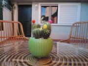 Rosa dei venti airport house