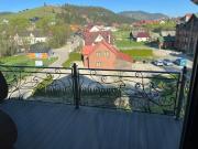 Top Palyanytsya