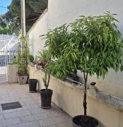 Top Port-Saint-Louis-du-Rhône