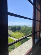 Top Calambrone