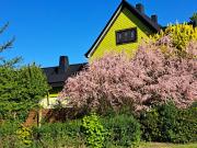 "Zur Alten Schusterei" 98597 Breitungen an der Werra