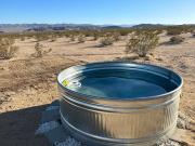 Top Twentynine Palms