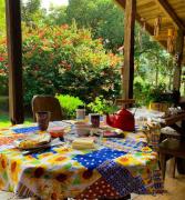 Eco Refúgio Cambará