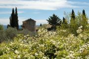 Top Gordes