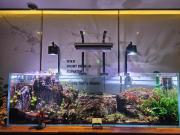 Awesome Boutique Hotel