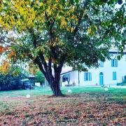 Top Calderara di Reno