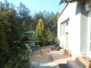 Top Nowe