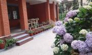 Top Patan