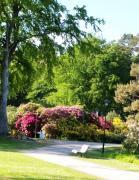 Ferienwohnung Spilgies GM 69756