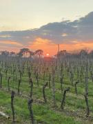 Top Sauveterre-la-Lémance