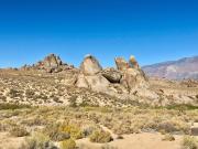 Top Lone Pine