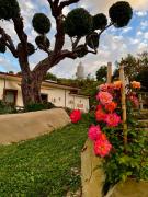 Top Laureana Cilento