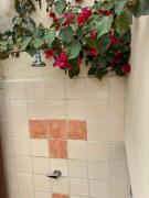 Teodora e Teodorina bohemien house Teodora e Teodorina bohemien house