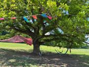 Top Hertford Top Hertford