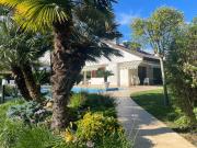 Top Palazzo Vianello