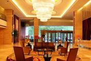 Top Zibo