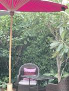 Top Chiang Mai
