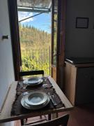 Rustico monolocale soppalcato a Firenze