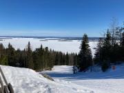 Koli country club basic 6